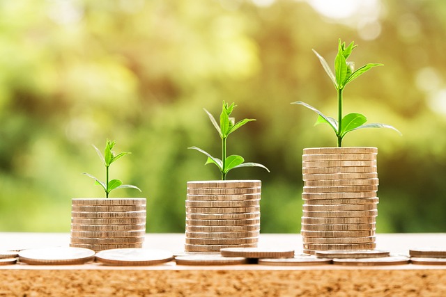 Cómo aprovechar las oportunidades de inversión en el sector de la inteligencia de ventas - EconomiaeInversion.com Cómo aprovechar las oportunidades de inversión en el sector de la inteligencia de ventas