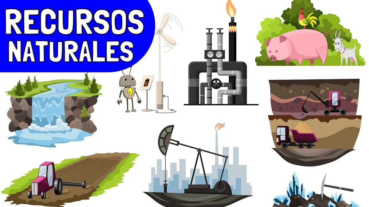 Economía de los recursos naturales: Gestión y explotación sostenible