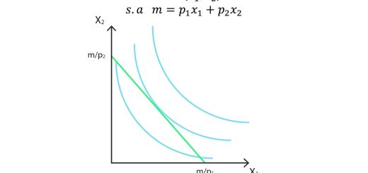 Definición de la teoría de la maximización de utilidad y su aplicación en las finanzas