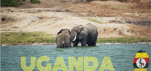 La economía de Uganda: Crecimiento y sostenibilidad