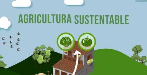 Modelos de negocio en el sector de la agricultura sostenible: ejemplos y estrategias