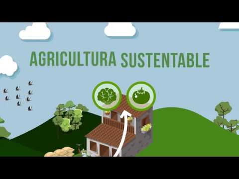 Modelos de negocio en el sector de la agricultura sostenible: ejemplos y estrategias