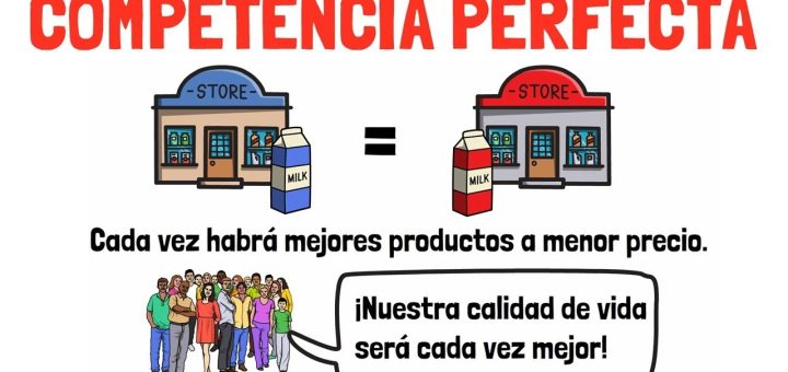 Teoría de la competencia perfecta y sus implicaciones para la política económica