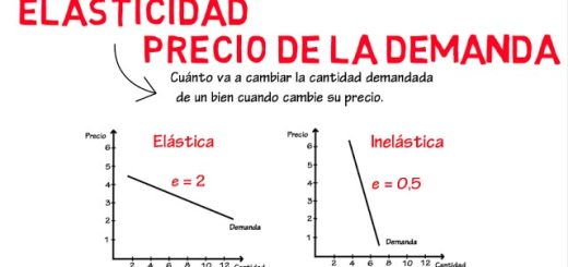 Teoría de la elasticidad y su impacto en la economía de mercado