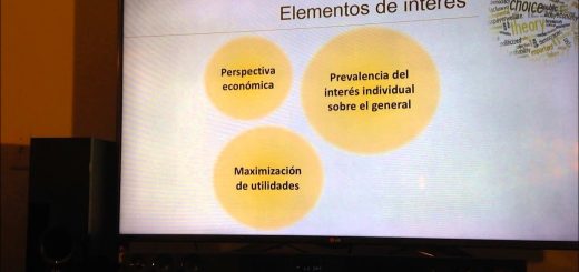 Teoría de la elección pública: su relevancia en la economía política