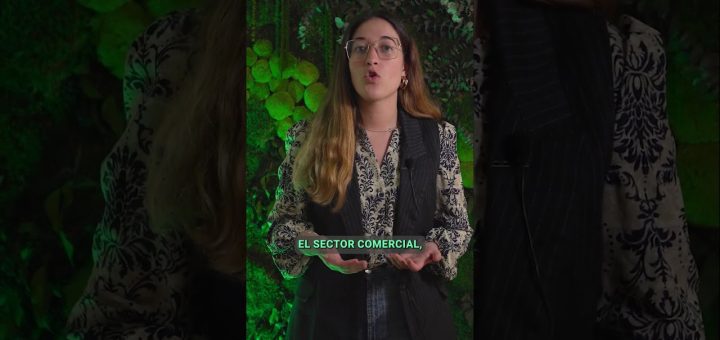 Cómo planificar la compra de bienes inmuebles para diversificación patrimonial