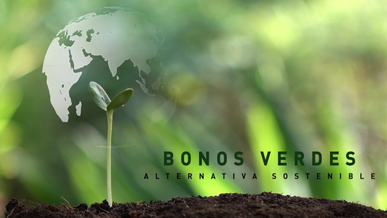 Inversiones en bonos verdes: una alternativa para pymes