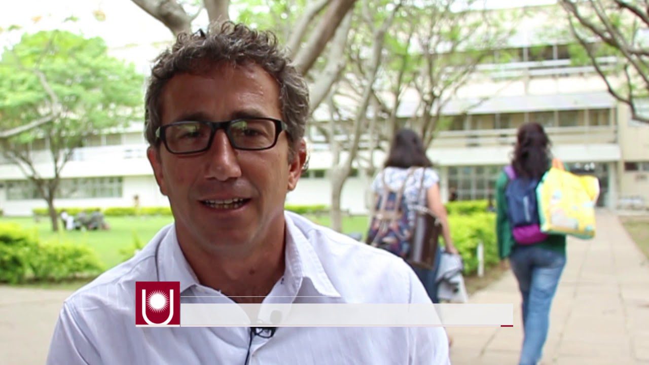 Modelos de negocio en el sector de la educación superior: oportunidades y desafíos