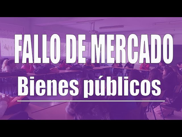 Teoría de los bienes públicos y su impacto en la provisión de servicios