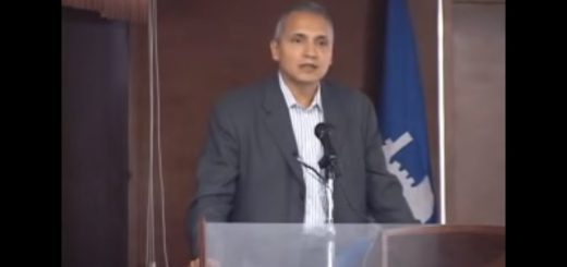 Hector Garcia-Molina y la teoría del crecimiento económico en la dinámica de sistemas