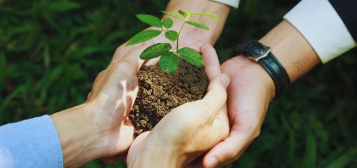 consultoría de RSC - IP - EconomiaeInversion.com