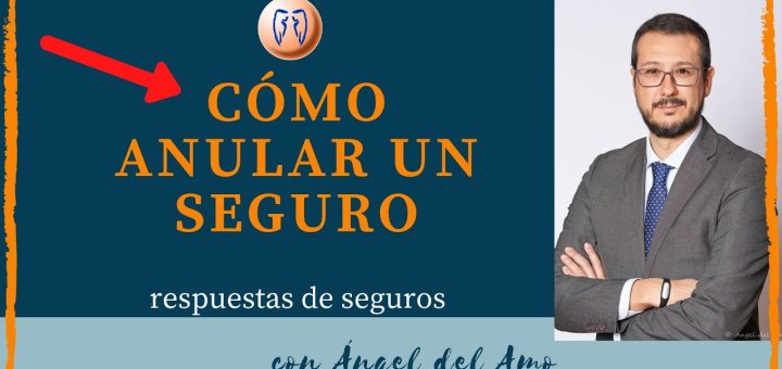 Estrategias para reclamar la cancelación de un contrato de seguros