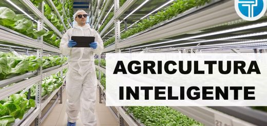 Modelos-de-negocio-en-el-sector-de-la-agricultura-vertical-innovaciones-y-estrategias - EconomiaeInversion.com Modelos de negocio en el sector de la agricultura vertical: innovaciones y estrategias