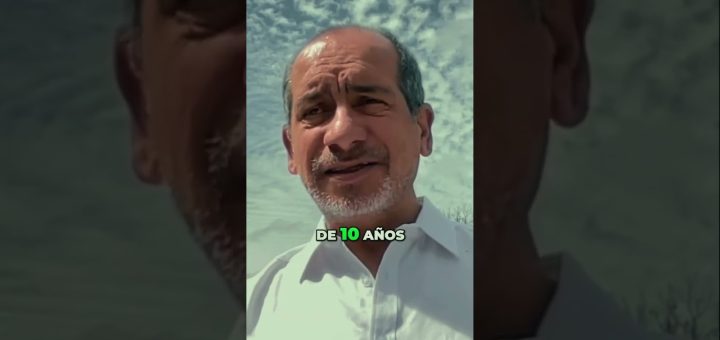 Cómo crear un modelo de negocio basado en la consultoría de innovación