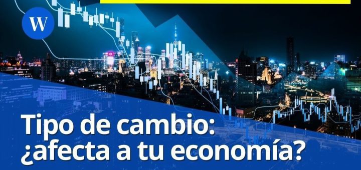 qué regulaciones afectan el desarrollo económico Cómo las tasas de cambio influyen en la competitividad económica