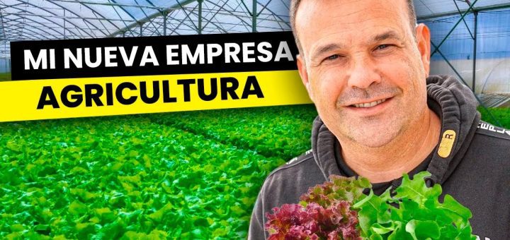 Cómo José Elías Navarro construyó un imperio desde cero
