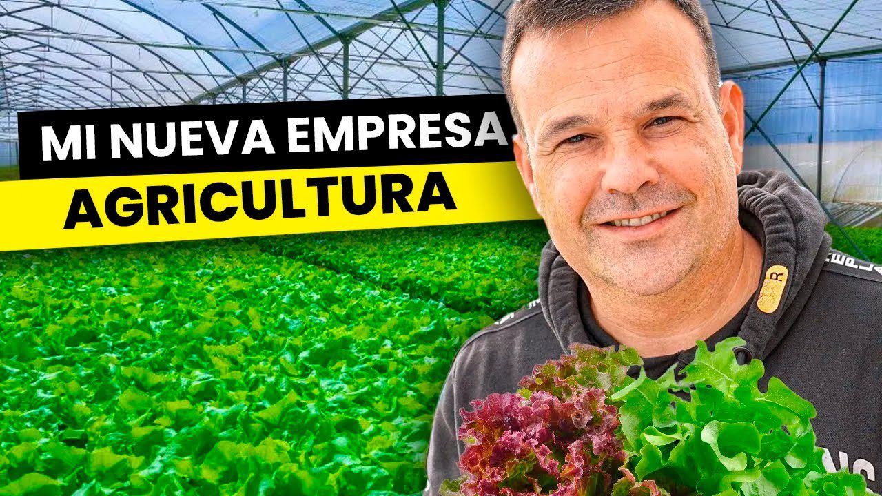 Cómo José Elías Navarro construyó un imperio desde cero