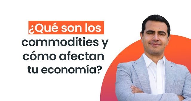 cómo gestionar la privacidad y seguridad en transacciones financieras Cómo invertir en commodities como instrumento financiero