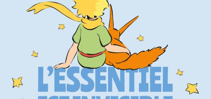 Child and orange fox sit back-to-back, looking away, with the French phrase 'L'ESSENTIEL EST INVISIBLE' and small stars in a pale blue background—conveys the idea that what matters is unseen behind appearances.