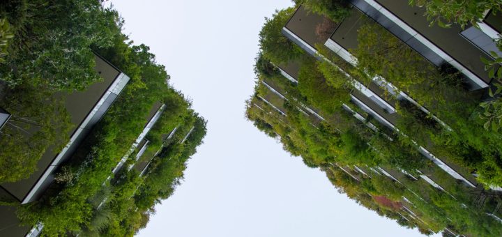 Low-angle view of contemporary buildings flanked by lush trees, converging toward a pale sky.